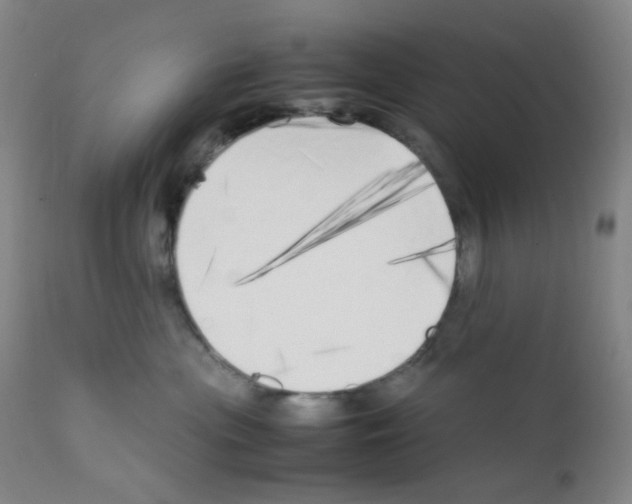 X0000111850477200909031731
