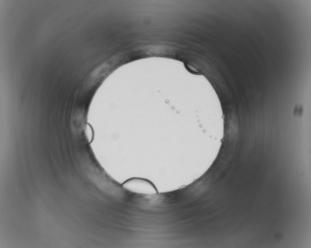 X0000111850478200909031732