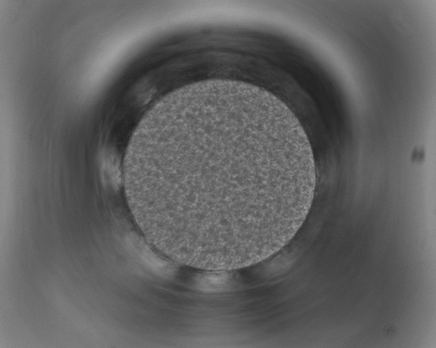 X0000111850479200909031732