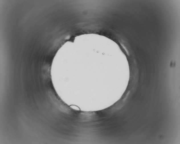 X0000111850480200909031732