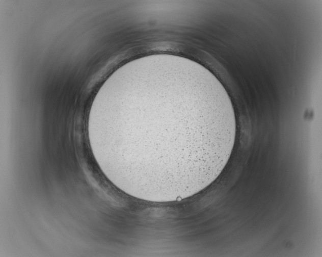 X0000111850482200909031731