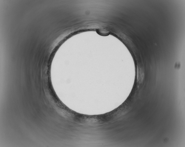 X0000111850483200909031731