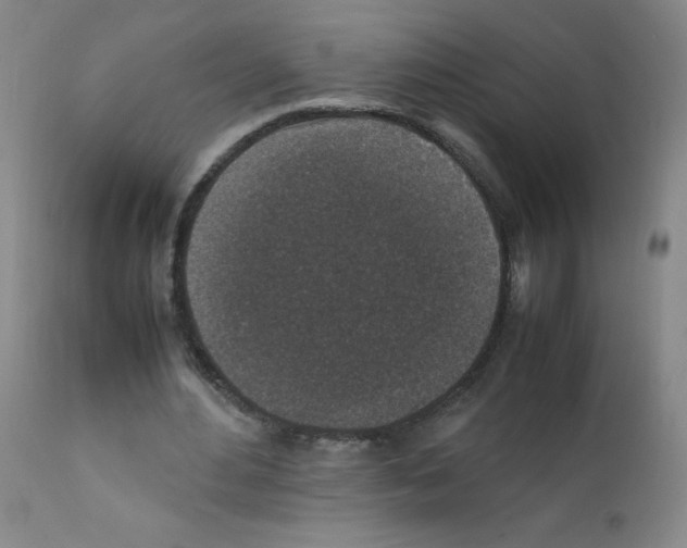 X0000111850484200909031731