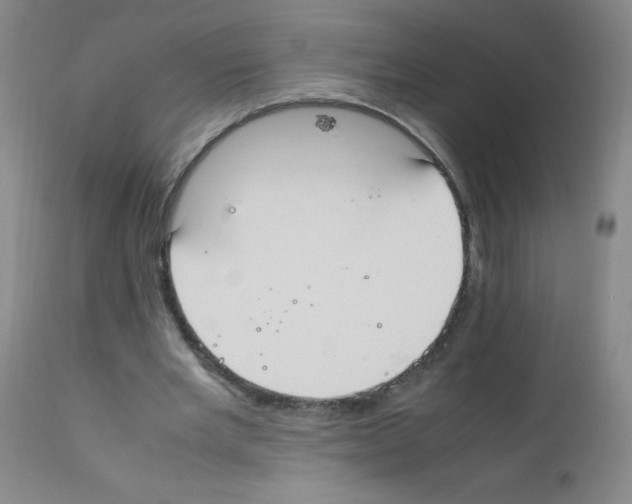 X0000111850485200909031731