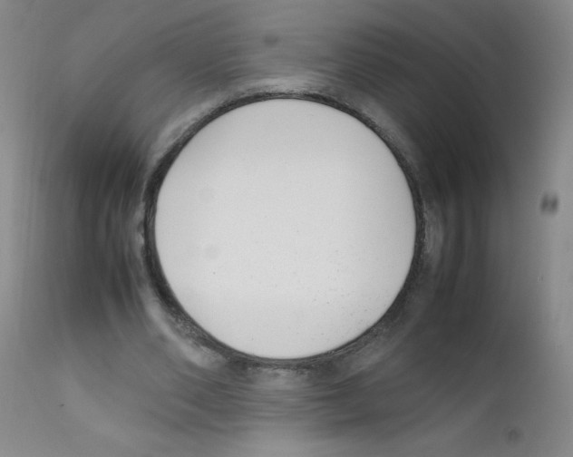 X0000111850486200909031731