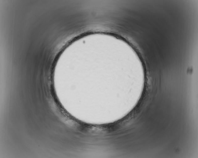 X0000111850487200909031731