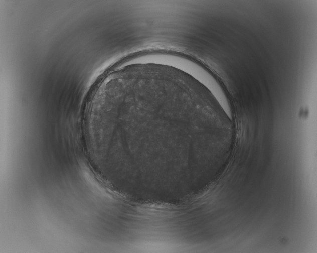 X0000111850488200909031731