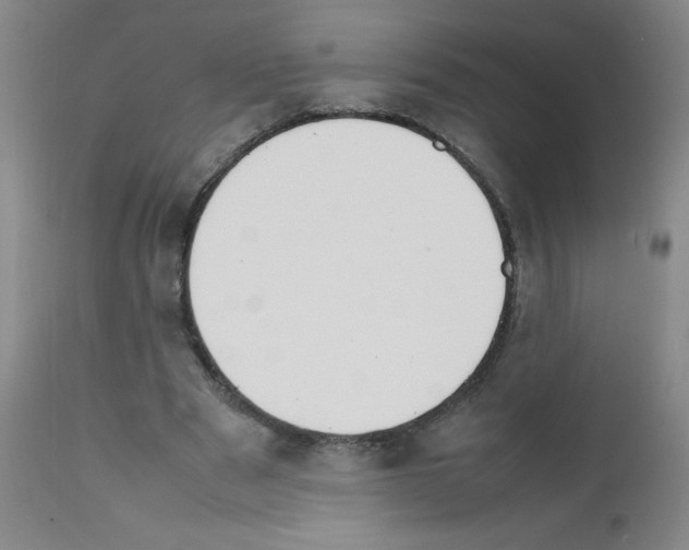 X0000111850489200909031731