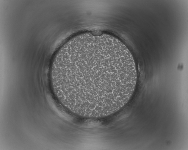 X0000111850491200909031731