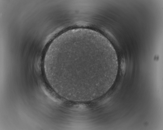 X0000111850492200909031731