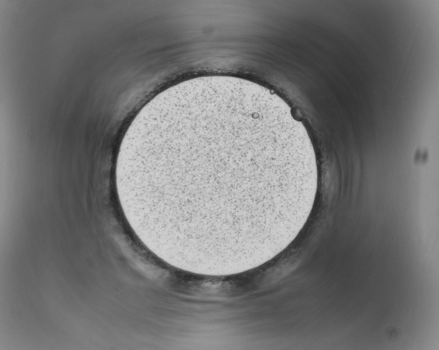 X0000111850493200909031731