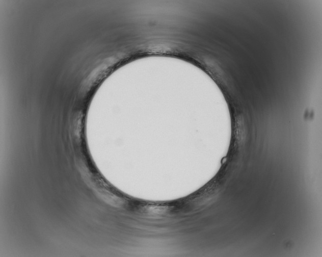X0000111850495200909031731