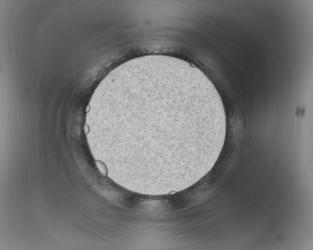 X0000111850499200909031730