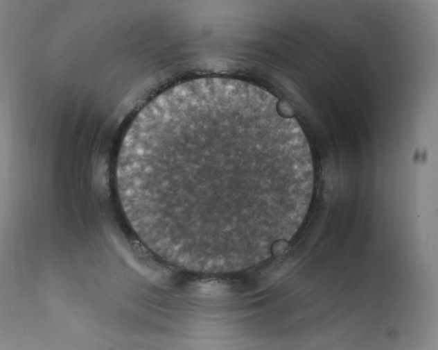 X0000111850500200909031730
