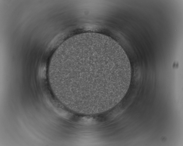 X0000111850502200909031730