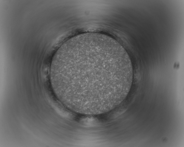 X0000111850503200909031730