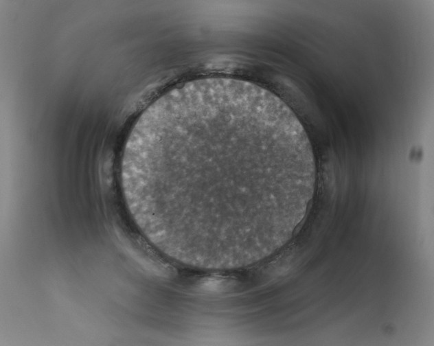 X0000111850504200909031730