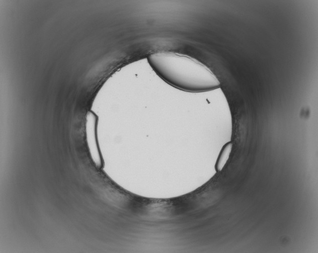 X0000111850505200909031730