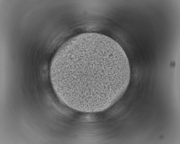 X0000111850506200909031730