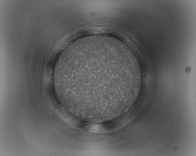 X0000111850507200909031730