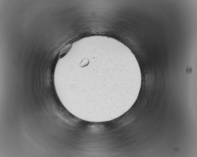 X0000111850508200909031730