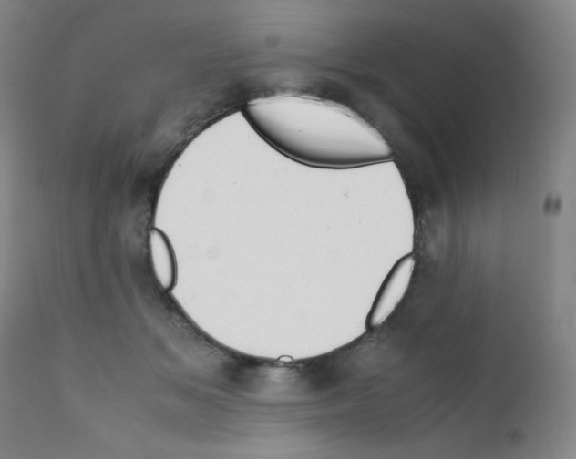 X0000111850509200909031730