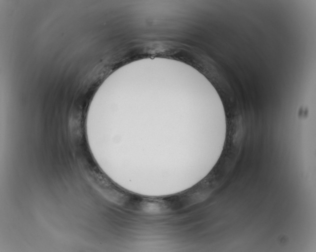 X0000111850510200909031730