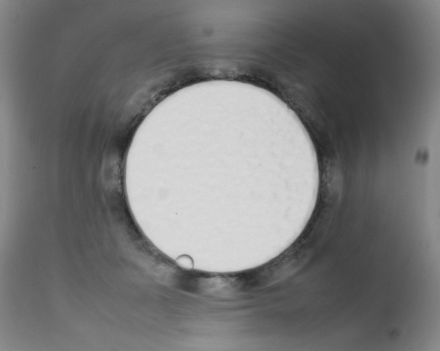 X0000111850511200909031730