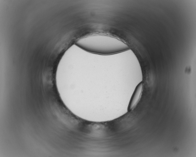 X0000111850512200909031730