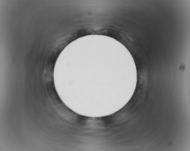 X0000111850515200909031730