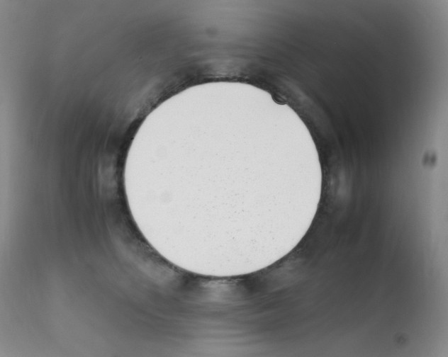 X0000111850516200909031730