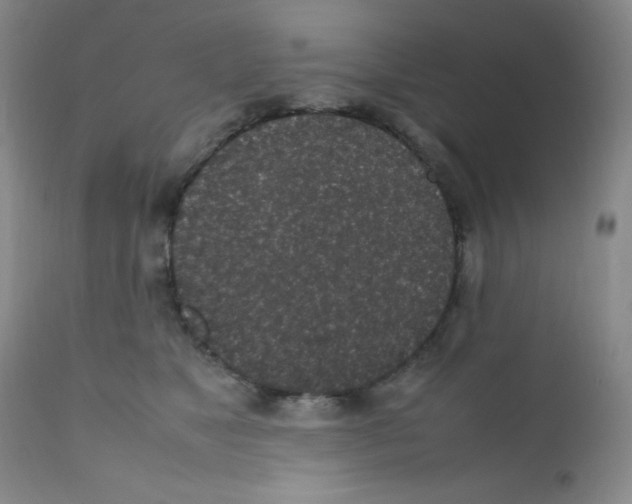 X0000111850517200909031730