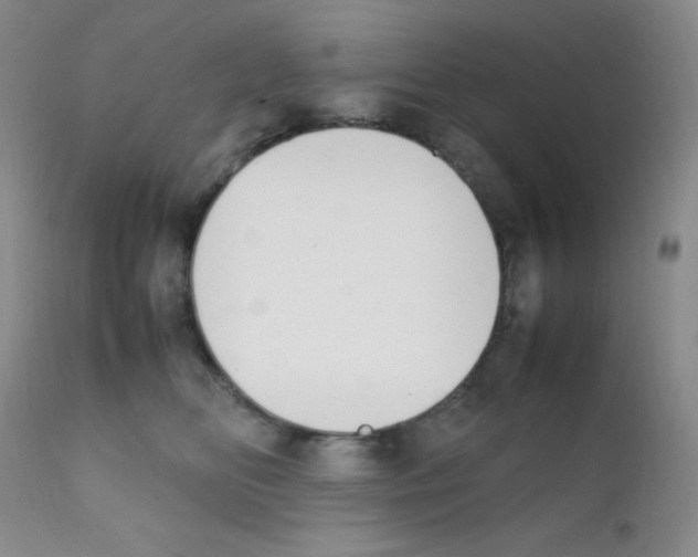 X0000111850518200909031730