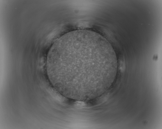 X0000111850519200909031730