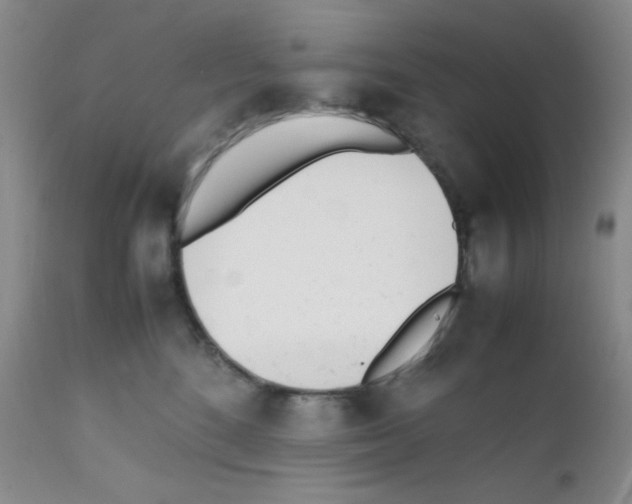 X0000111850520200909031730