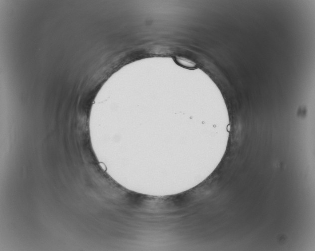 X0000111850521200909031730