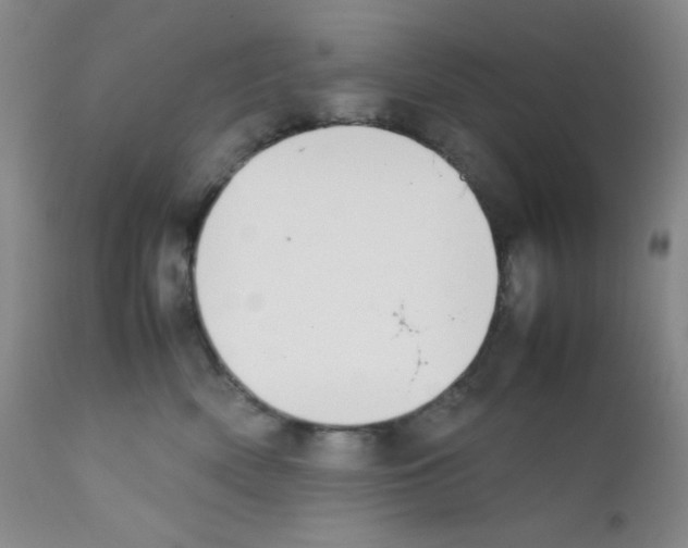 X0000111850522200909031730