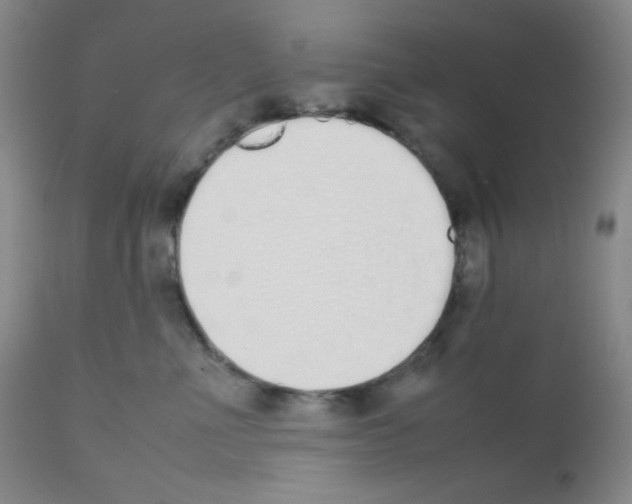 X0000111850523200909031730