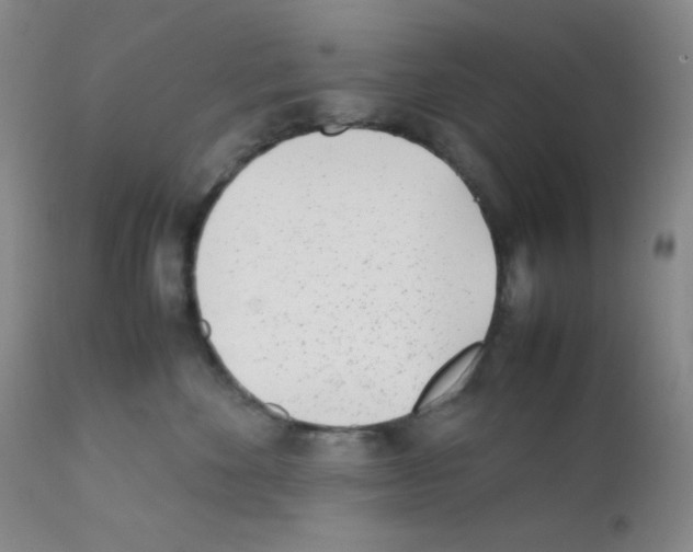 X0000111850524200909031730