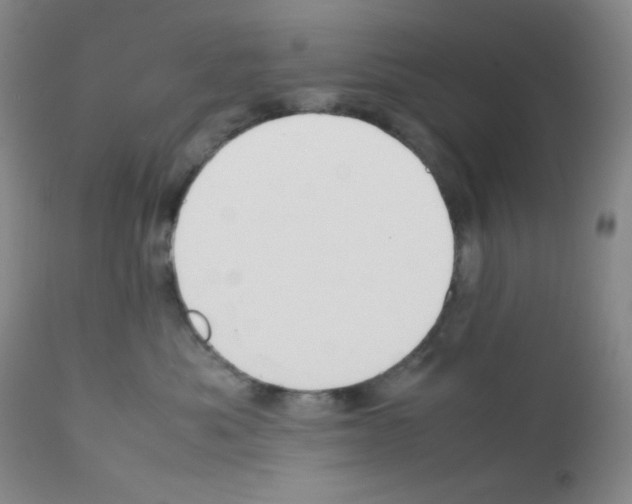 X0000111850525200909031730