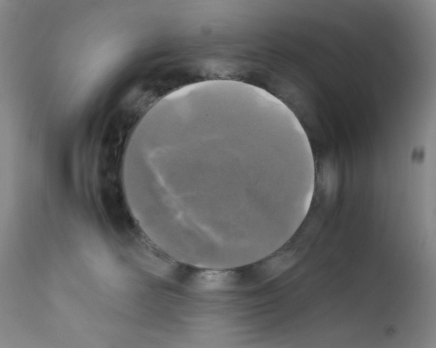 X0000111850526200909031730