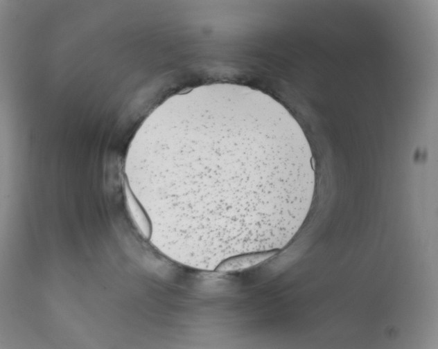 X0000111850528200909031730