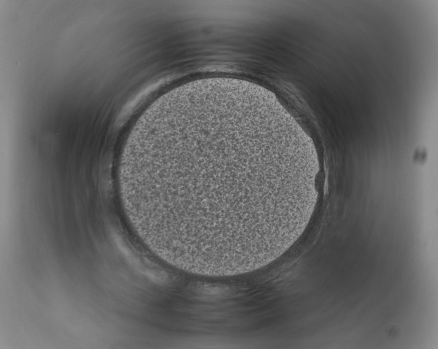 X0000111850531200909031729