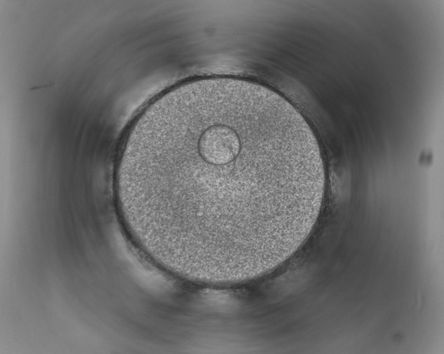 X0000111850534200909031729