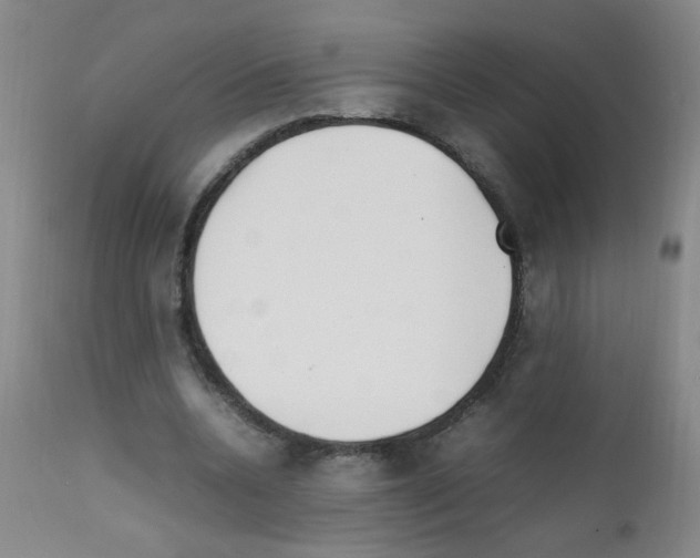 X0000111850536200909031729