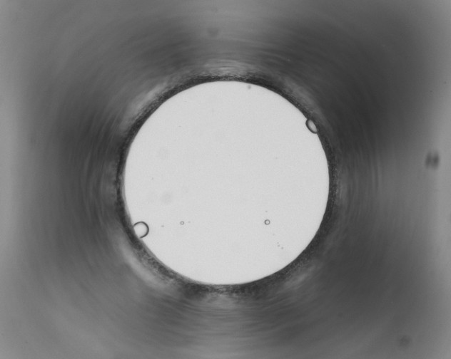 X0000111850538200909031729