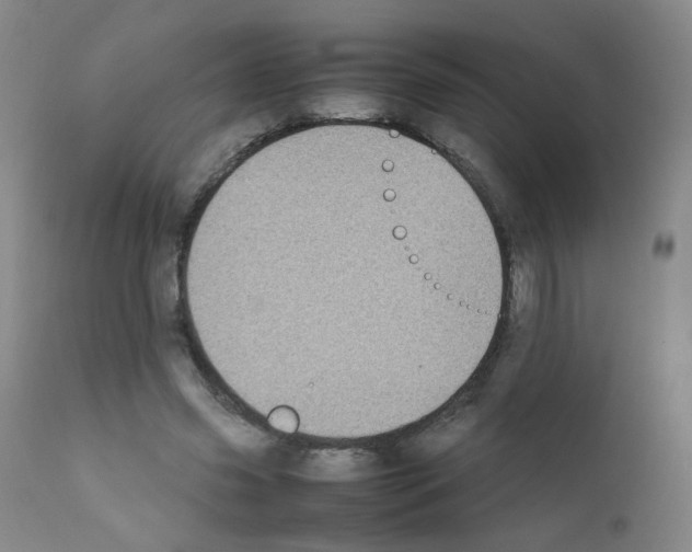 X0000111850541200909031729