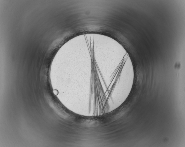 X0000111850542200909031729