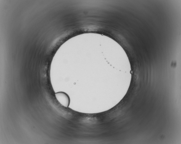 X0000111850543200909031729