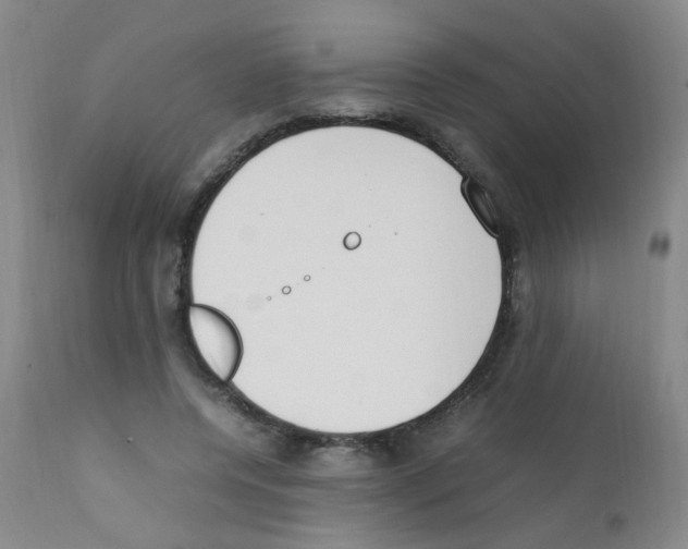 X0000111850544200909031729